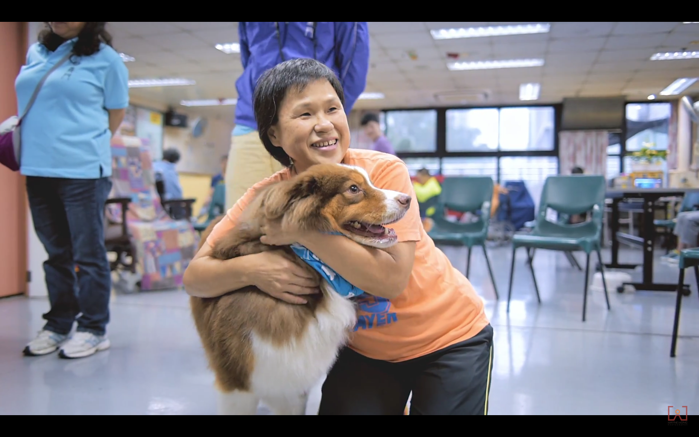 Lutheran Hong Kong Martha Boss Hostel | Pet Therapy Day
